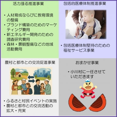 小川村ふるさと納税応援寄附金　返礼品なし*001