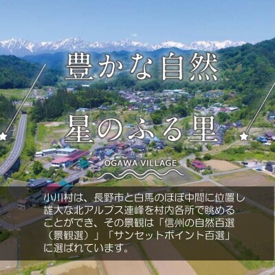 小川村ふるさと納税応援寄附金　返礼品なし*002