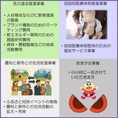 小川村ふるさと納税応援寄附金　返礼品なし*002