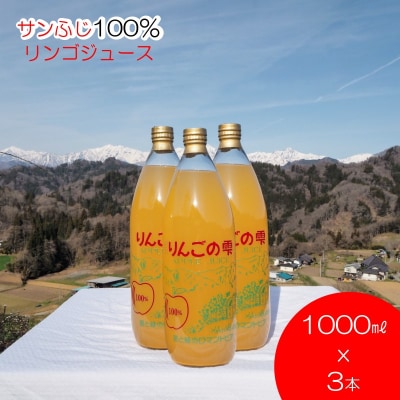 サンふじりんご100%ジュース1L3本*265