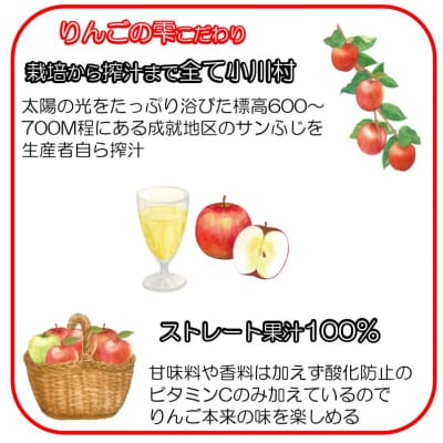 サンふじりんご100%ジュース1L3本*265