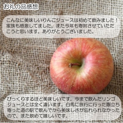 サンふじりんご100%ジュース1L3本*265