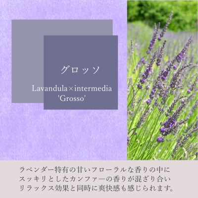 ラベンダーオイル(グロッソ)5ml&ウッドディフューザーセット*262