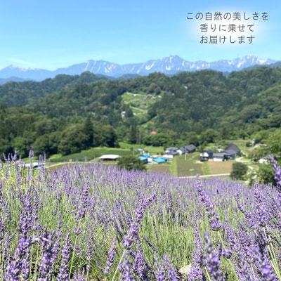 ラベンダーオイル(グロッソ)1ml&ウッドディフューザーセット*263