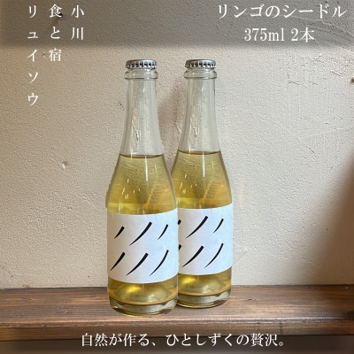 リンゴのシードル2本セット*269