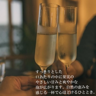 リンゴのシードル2本セット*269