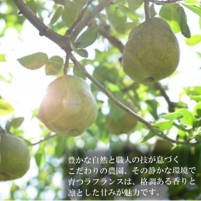 ラフランス酒　720ml*270