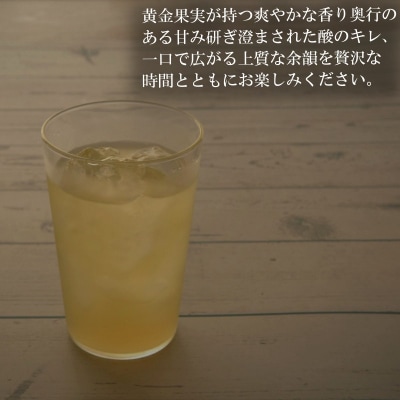 シナノゴールドリンゴジュース 1L 2本*271