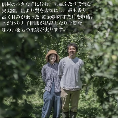 シナノゴールドリンゴジュース 1L 2本*271