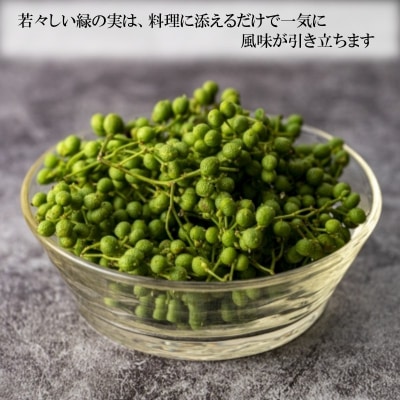 信州小川村　生山椒の実300g*266【先行販売27年6月頃発送予定】