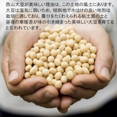 麦ダンス農園の大豆がテンペになりました　1000g*281