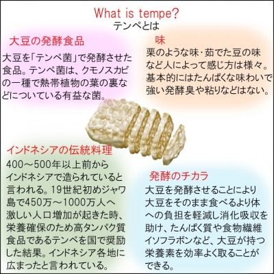 麦ダンス農園の大豆がテンペになりました　1000g*281