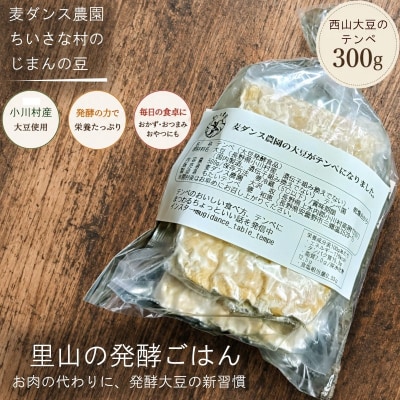 麦ダンス農園の大豆がテンペになりました　300g*280