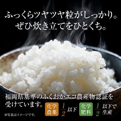 渡さんのこだわり米 1kg