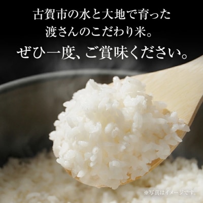 渡さんのこだわり米 10kg 