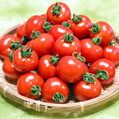 トマトとゼリーの詰め合わせ