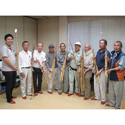 袖ケ浦自然薯部会がまごころこめて育てた 自然薯 (じねんじょ)