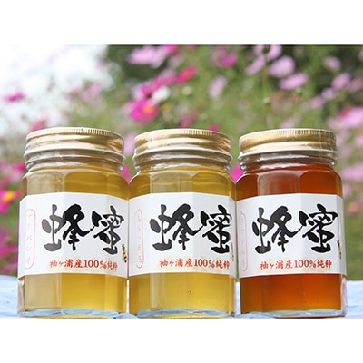 房総里山のかわの養蜂はちみつ　500g瓶　3本セット