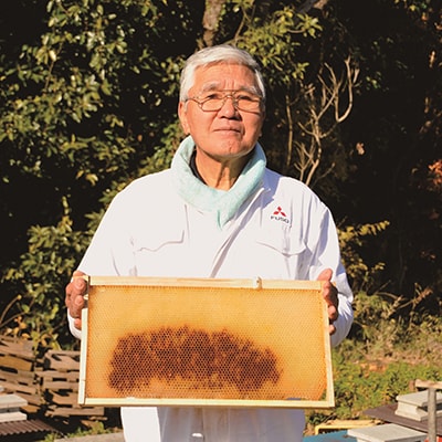 房総里山のかわの養蜂はちみつ　500g瓶　3本セット