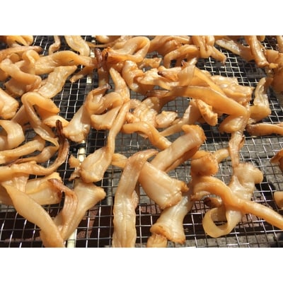 【貝専門店】天然 ミル貝 干物 【竹かご入り】