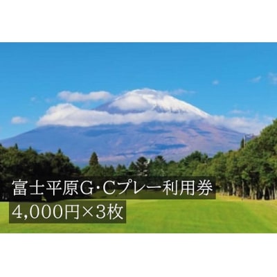 富士平原G・Cプレー利用券　3枚