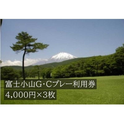 富士小山G・Cプレー利用券　3枚