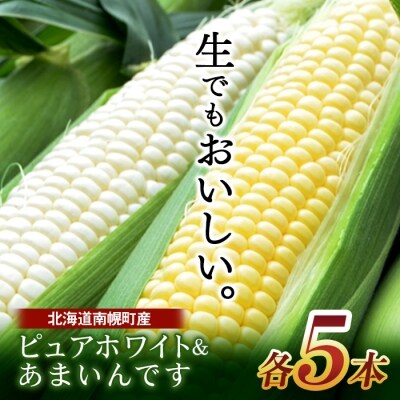 北海道産 とうもろこし ピュアホワイト5本&あまいんです5本 計10本 朝採り スイートコーン