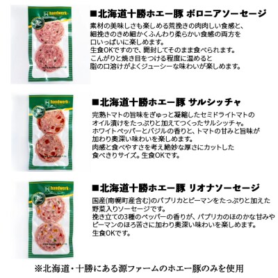 北海道産 ソーセージセット /サルシッチャ ボロニアソーセージ ビアウインナー リオナソーセージ