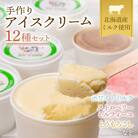 北海道産 手作りアイスクリームセット 120ml×12個(おまかせ詰め合わせ) 南幌町 スイーツ