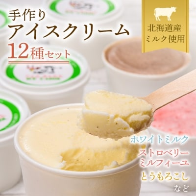 北海道産 手作りアイスクリームセット 120ml×12個(おまかせ詰め合わせ) 南幌町 スイーツ