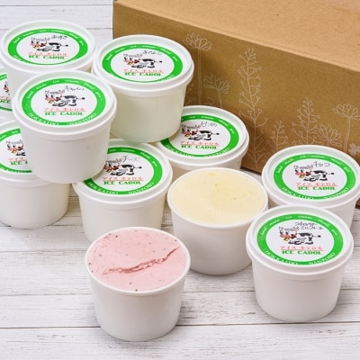 北海道産 手作りアイスクリームセット 120ml×12個(おまかせ詰め合わせ) 南幌町 スイーツ