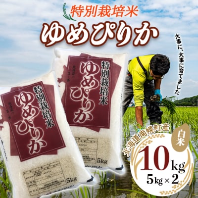 北海道産 特別栽培米 ゆめぴりか 白米 5kg×2袋(10kg) 南幌町 空知 北海道米 今摺り米