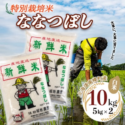 北海道産 特別栽培米 ななつぼし 白米 5kg×2袋(10kg) 南幌町 空知 北海道米