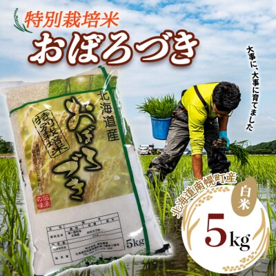北海道産 特別栽培米 おぼろづき 白米 5kg 今摺り米 南幌町 空知 北海道米