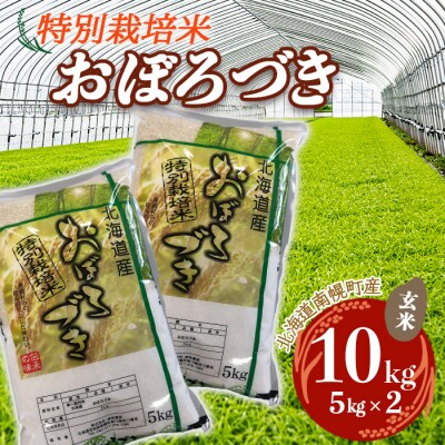 北海道産 特別栽培米 おぼろづき 玄米 5kg×2袋(10kg) 今摺り米 南幌町 空知 北海道米