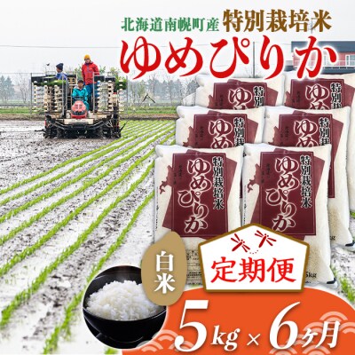 【定期便6カ月】北海道産 特別栽培米 ゆめぴりか 白米 5kg 10月発送開始 南幌町 北海道米