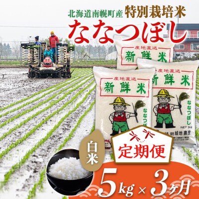 【定期便3カ月】北海道産 特別栽培米 ななつぼし 白米 5kg 1月発送開始 今摺り米 北海道米