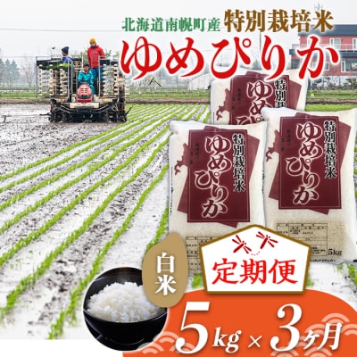 【定期便3カ月】北海道産 特別栽培米 ゆめぴりか 白米 5kg 令和7年産 今摺り米 北海道米