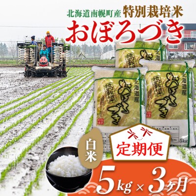 【定期便3カ月】北海道産 特別栽培米 おぼろづき 白米 5kg 1月発送開始 今摺り米 北海道米
