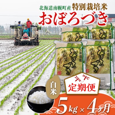 【定期便4カ月】北海道産 特別栽培米 おぼろづき 白米 5kg 12月発送開始 今摺り米 北海道米