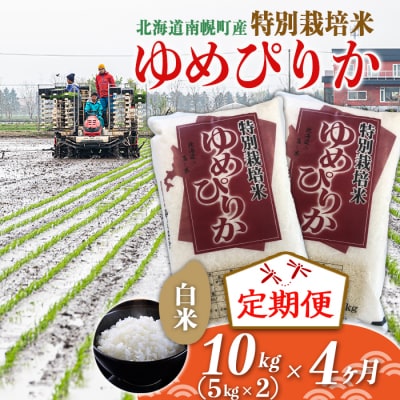 【定期便4カ月】北海道産 特別栽培米 ゆめぴりか 白米 5kg×2袋(10kg) 12月発送開始