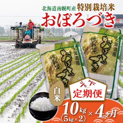 【定期便4カ月】北海道産 特別栽培米 おぼろづき 白米 5kg×2袋(10kg) 12月発送開始