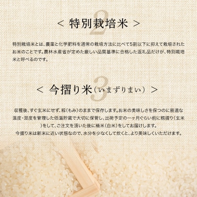 【定期便3カ月】北海道産 特別栽培米 ゆめぴりか 白米 5kg×2袋(10kg) 1月発送開始