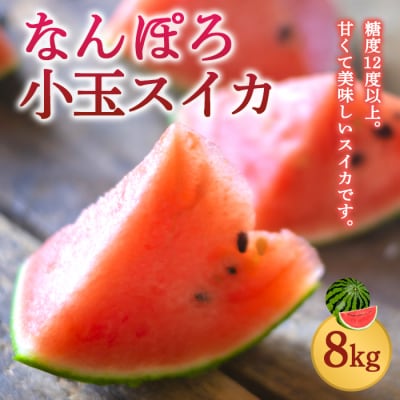 北海道産 小玉スイカ 約8kg 4〜6玉 なんぽろ小玉すいか 8月発送 シャリシャリ食感 南幌町産