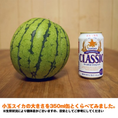北海道産 小玉スイカ 約8kg 4〜6玉 なんぽろ小玉すいか 8月発送 シャリシャリ食感 南幌町産