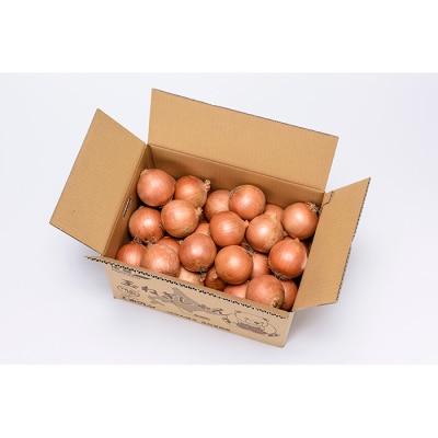 《11月下旬発送開始》なんぽろたまねぎ 10kg JAなんぽろ