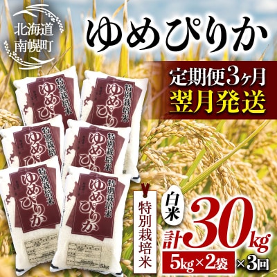 【定期便3カ月】北海道産 特別栽培米 ゆめぴりか 白米 10kg 翌月発送開始 南幌町 特A