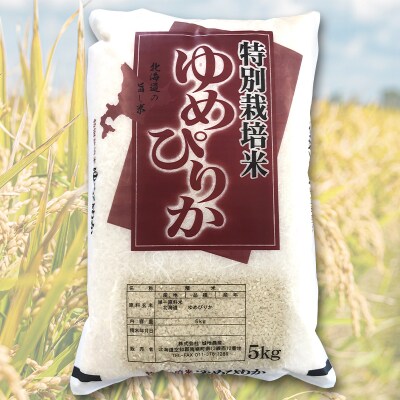 【定期便3カ月】北海道産 特別栽培米 ゆめぴりか 白米 10kg 翌月発送開始 南幌町 特A