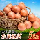 北海道産 南幌町産 山本農園のたまねぎ L〜L大サイズ前後 5kg 玉ねぎ タマネギ 玉葱