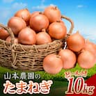北海道産 南幌町産 山本農園のたまねぎ L〜L大サイズ前後 10kg 玉ねぎ タマネギ 玉葱